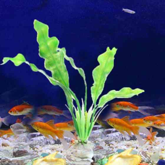 Рослини штучні в акваріум Київ