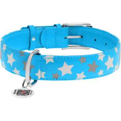Ошейник для животных WAUDOG Glamour с QR паспортом "Звездочка" S Ш 20 мм Д 30-39 см голубой (35862) Винница