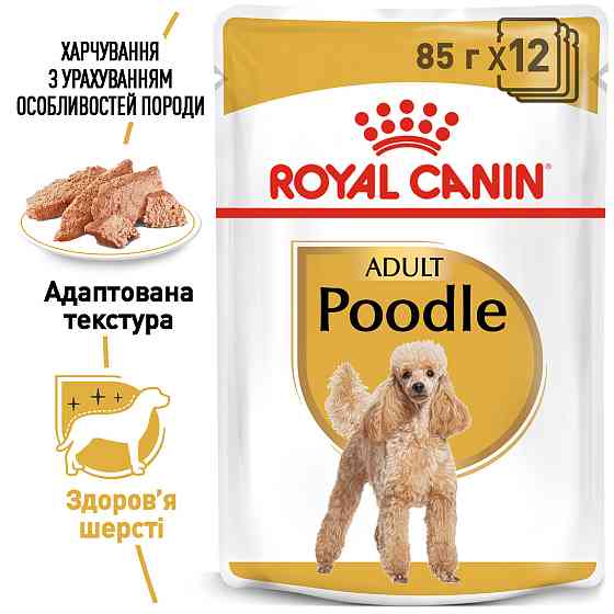 Вологий корм для дорослих собак породи Пудель ROYAL CANIN POODLE LOAF 0.085 г Київ