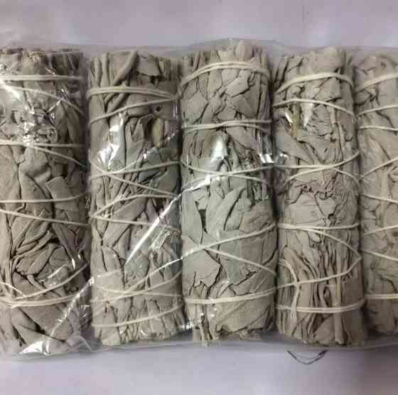 Калифорнийский белоснежный шалфей для окуривания (White Sage) пучок 10 см. Киев