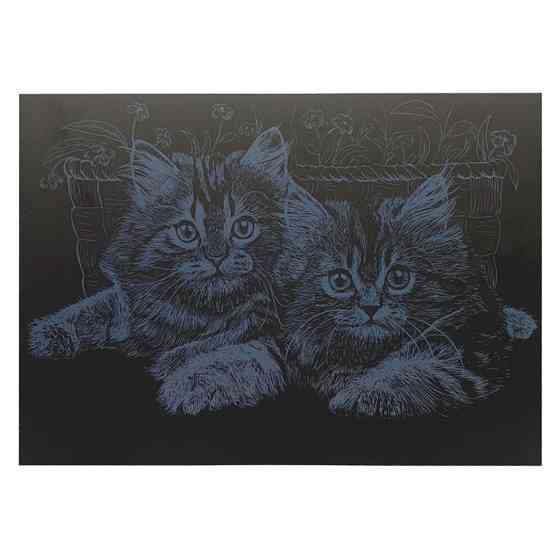 Гравюра А4 "Коти" ГрА4-13с економ варіант в пакеті 29,7х21 см Вінниця