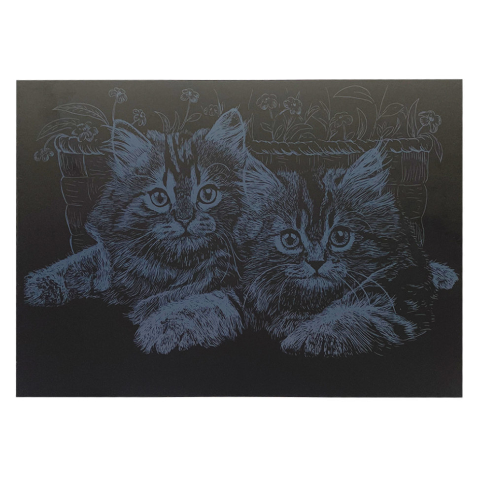 Гравюра А4 "Коти" ГрА4-13с економ варіант в пакеті 29,7х21 см Вінниця - фото 1