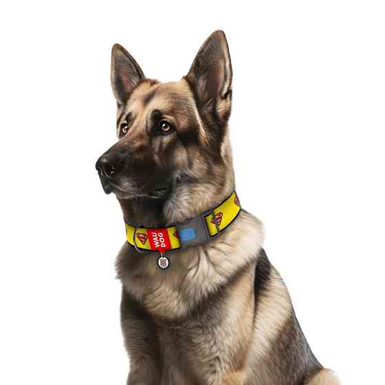 Нашийник для собак нейлоновий WAUDOG Nylon з QR-паспортом, малюнок "Супермен 2", пластиковий фастекс, XXL, Ш 35 Вінниця