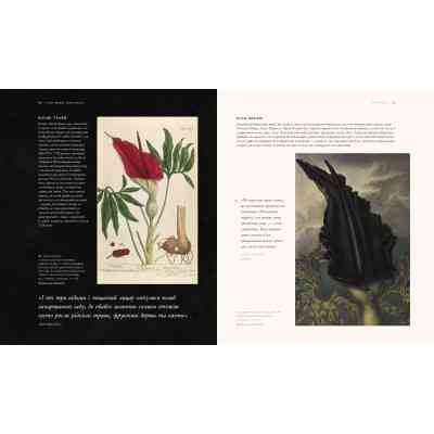 Книга Гаррі Поттер. Історія магії. Велике ілюстроване видання - Джоан Ролінґ А-ба-ба-га-ла-ма-га (9786175851685) Вінниця