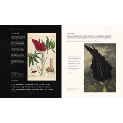 Книга Гаррі Поттер. Історія магії. Велике ілюстроване видання - Джоан Ролінґ А-ба-ба-га-ла-ма-га (9786175851685) Вінниця - фото 4