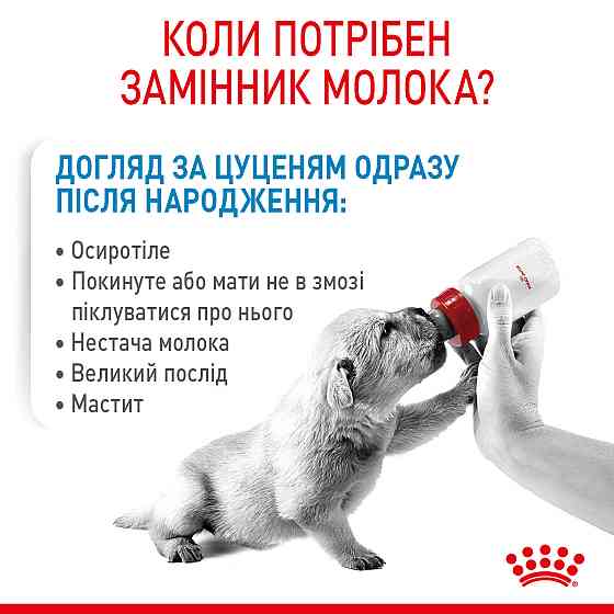 Молоко для новонароджених собак ROYAL CANIN BABYDOG MILK 2 кг Київ