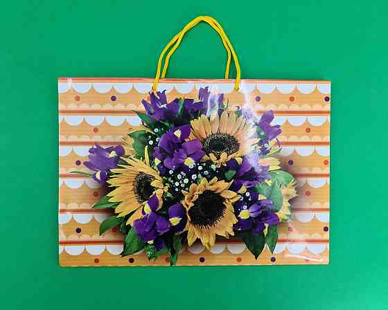 Бумажный большой горизонтальный пакет  36/22/10(артBG-018) (12 шт) Харьков