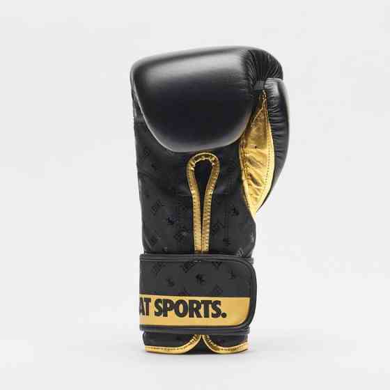 Боксерські рукавиці Leone GN220 DNA Black 10 унцій Київ