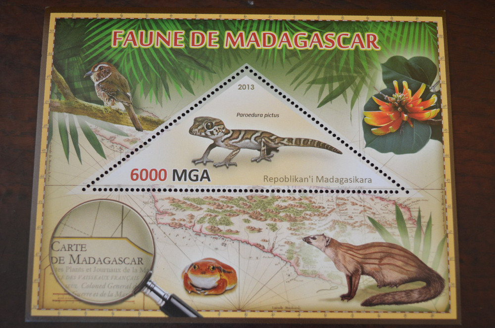 Мадагаскар. Фауна. Личности. Блок. 2014 р. (А-34) Полтава - фото 1