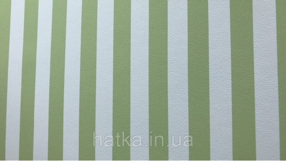 Шпалери вінілові на флізеліні Petite Fleur 4 Rasch Texti 289106 смуги широкі зелені та білі Київ