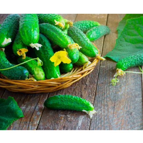 Огурец Любимчик 0.5гр Вкусный Житомир - изображение 5