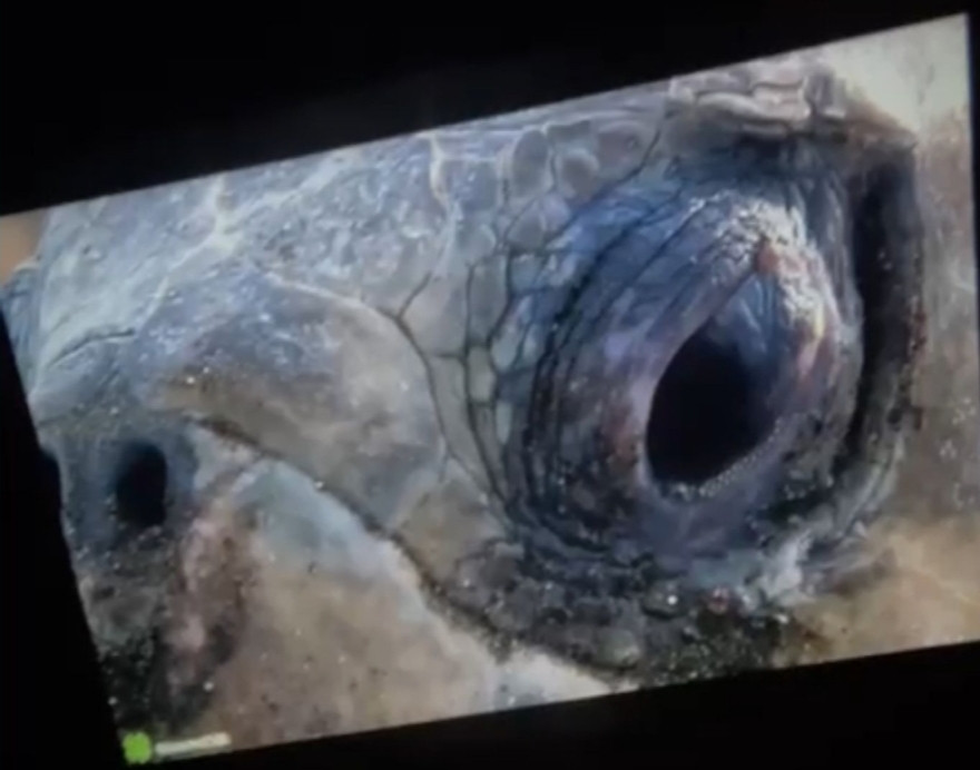 Проектор , телевизор, экран Киев - изображение 1