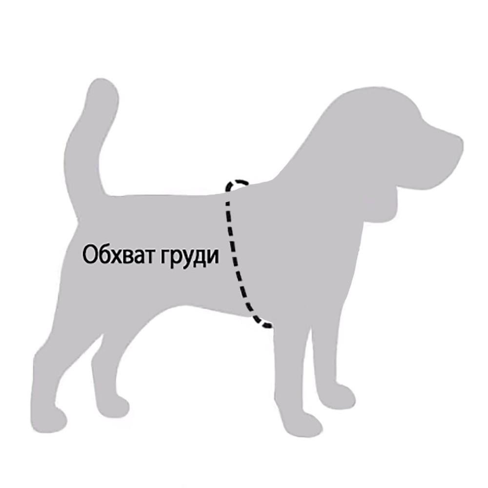 М’яка шлейка для собак маленьких порід, шлячи для дрібних порід Неопрен 3D Сітка оранжева Одеса - фото 9