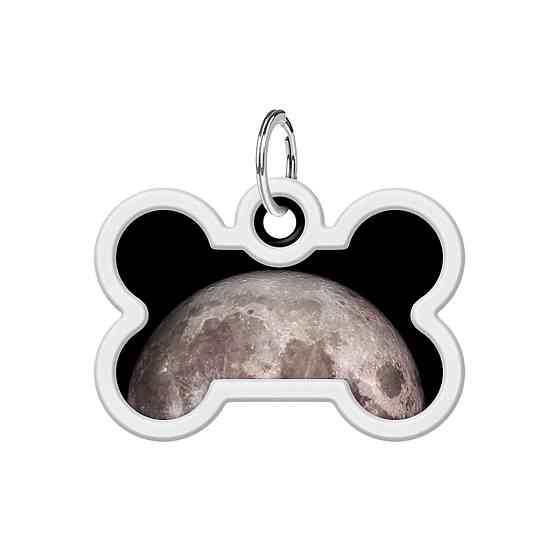 Адресник для собак і котів металевий WAUDOG Smart ID з QR паспортом, малюнок "Місяць", кістка, Д 40 мм, Ш 28 мм Київ