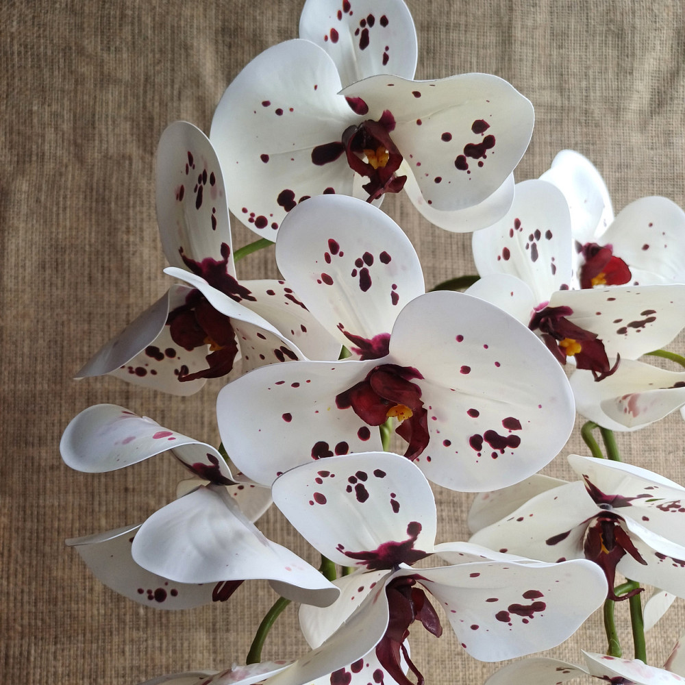 Штучна латексна орхідея VIP у пудровому керамічному кашпо на дві гілки біла в крапку Дніпро - фото 2