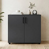 Комод Doros Торн Антрацит 2 ДСП 90х51.6х80 (DRS-012086)