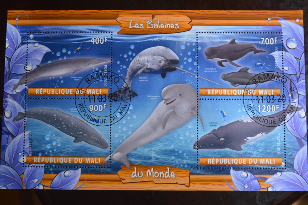 Мали. Марки. Фауна. Блок. 2020 год (В-2) Полтава - изображение 1