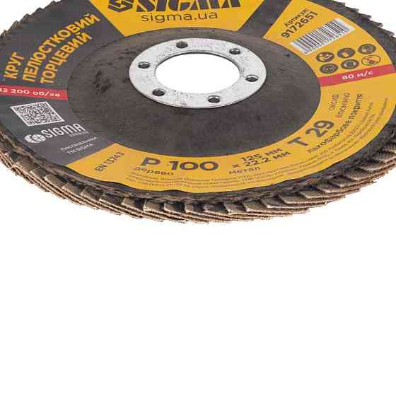 Sigma Круг лепестковый торцевой Т29 (конический) Ø125мм P100 SIGMA (9172651) Киев