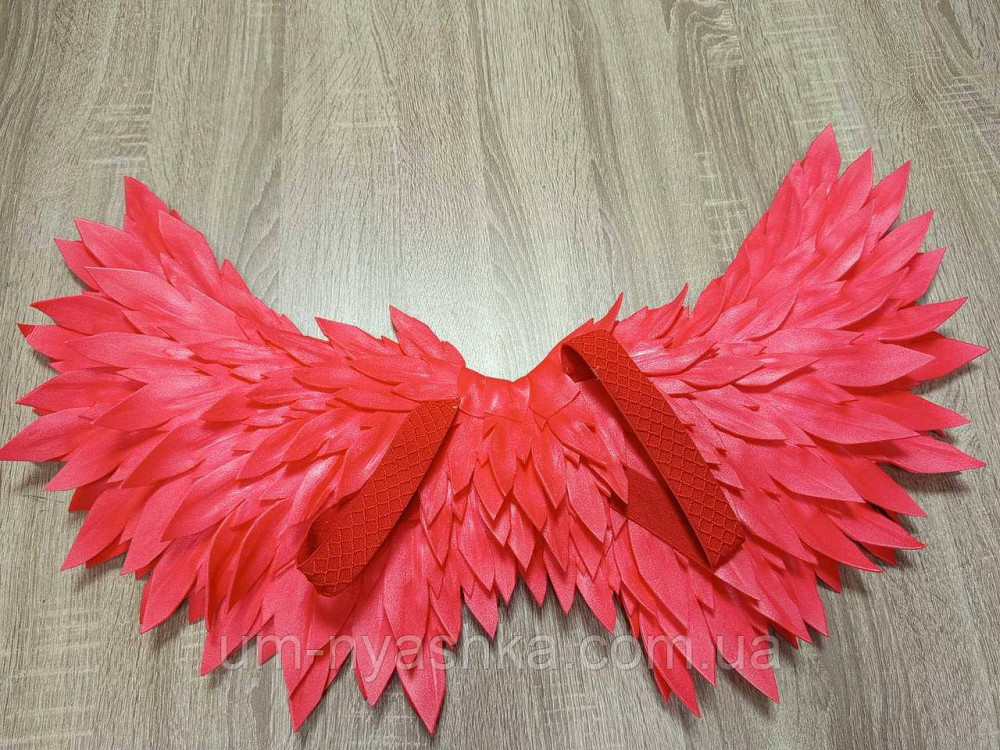 Червоні Крила середні Кривий Ріг - фото 2