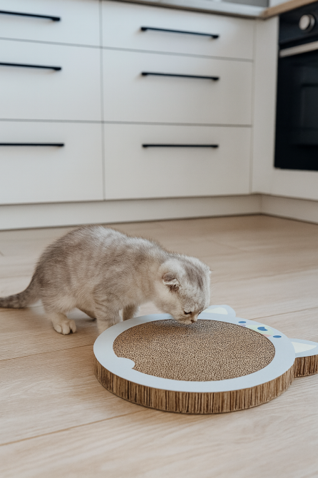 Дряпка Trixie для кошенят картонна у формі хом'яка з котячою м'ятою 31х2,5х32,5 см світло-сіра Київ - фото 1