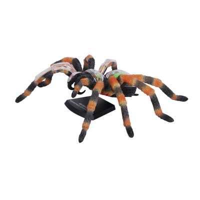 Пазл 4D Master Паук Тарантул (FM-622032) Винница - изображение 12