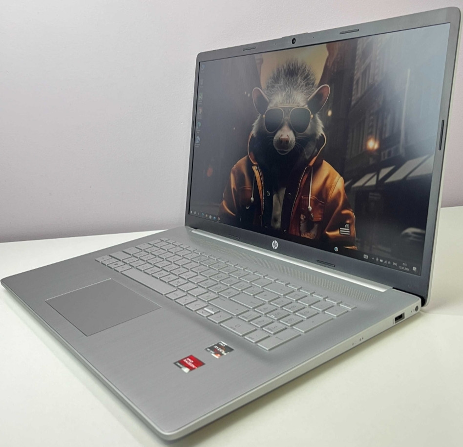 Новый! Ноутбук: HP Pavilion 17.3" IPS Ryzen 5 7520U RAM8Gb. DDR5 SSD 512Gb. Харків - фото 5