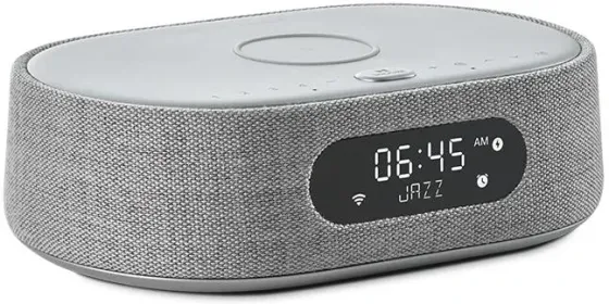 Портативная колонка Harman Kardon Citation Oasis FM (Szary) Киев