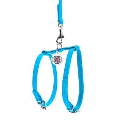 Шлея для собак WAUDOG Glamour з повідцем шкіряна Ш 9 мм А 20-30 см В 30-40 см блакитна (33992) Вінниця