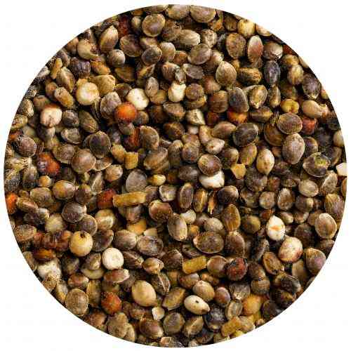 Вітамінізована добавка Vitakraft Mauserhilfe для великих та середніх папуг під час линьки у вигляді насіння 25 г Київ