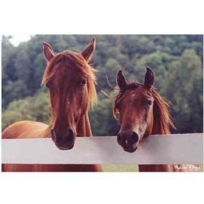 Пазл Melissa&Doug Лошади, 100 элементов (MD8944) Винница