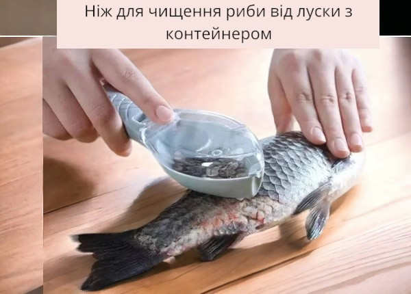 Нож для чистки рыбы от чешуи с контейнером ручной  7408 Одесса - изображение 1