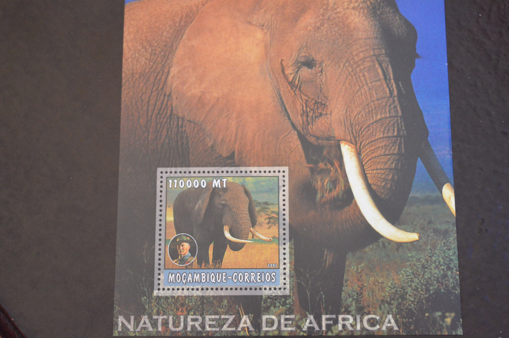 Мозамбик. Фауна. Блок. 2015 год (В-7) Полтава - изображение 1