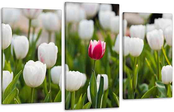 Модульна картина Квіти Тюльпани (53х100см) Art-134_3 Київ