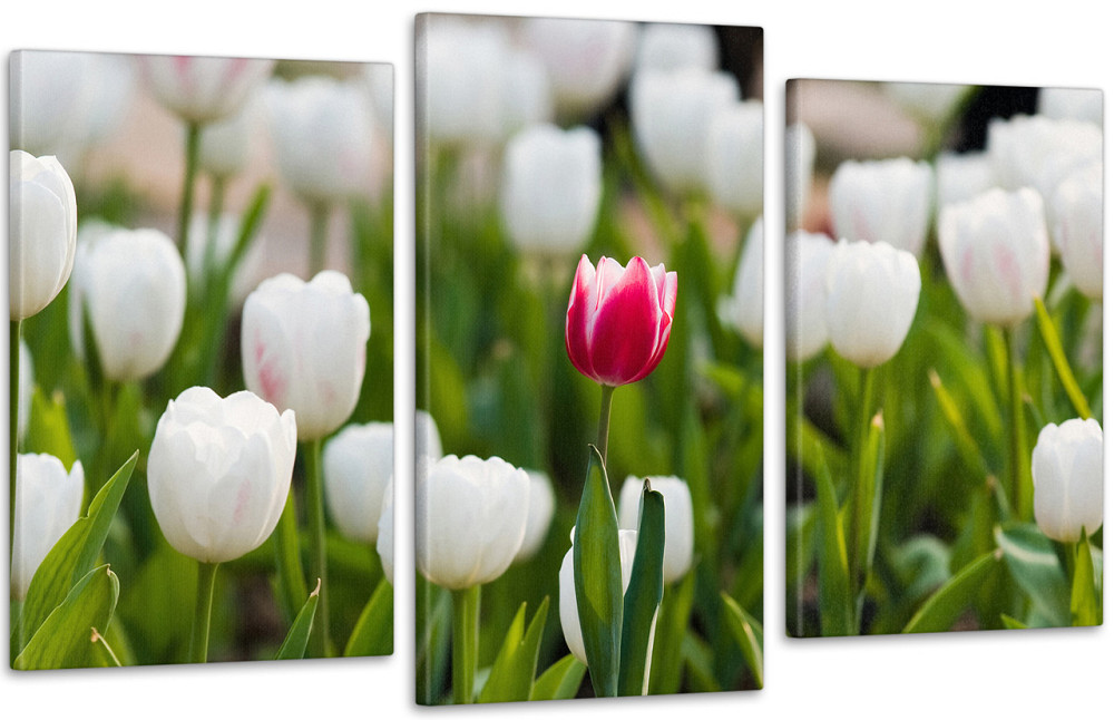Модульна картина Квіти Тюльпани (53х100см) Art-134_3 Київ - фото 1