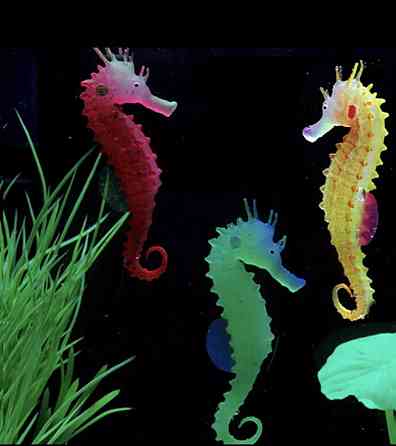 Морський коник силіконовий та люмінісцентний 10 на 5 см рожевий Київ