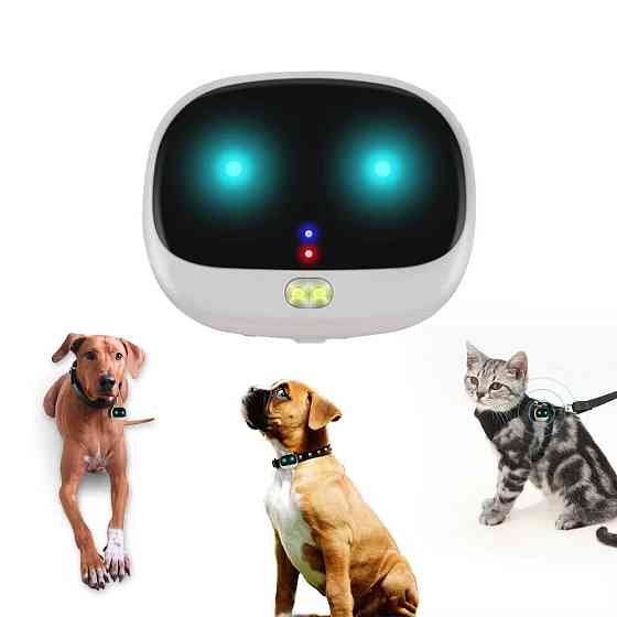 GPS трекер для собак GPS Tracker V43 з відстежуванням Луцьк