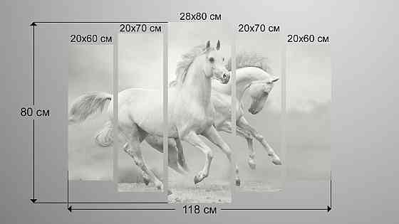 Модульна картина Коні Art-118_5 Київ