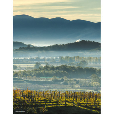 Книга Amber Revolution. Як світ закохався в оранжеве вино - Саймон Вулф, Раян Опаз Yakaboo Publishing (9786177544493) Винница - изображение 7