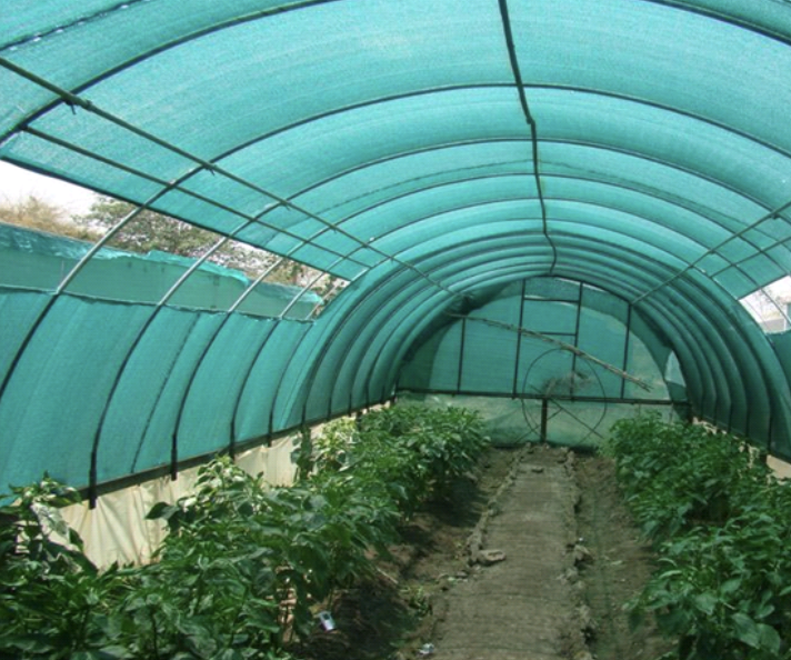 Сітка 45% 2*50 м (Агрокремінь) затіняюча сітка від сонця, Дніпро - фото 8