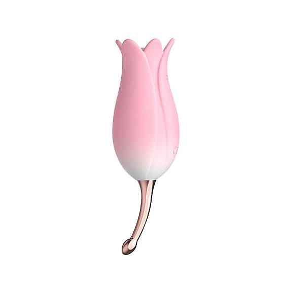 Ультразвуковий вібратор для клітора Otouch Bloom Ultrasonic Clitoris, 2 доп насадки Sex Aura Київ
