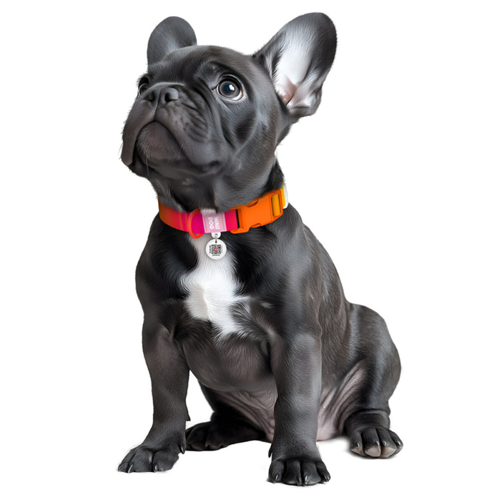 Нашийник для собак з нейлону WAUDOG Nylon Recycled з QR паспортом, градієнт, пластиковий фастекс, M, Ш 20 мм, Дов 28-40 см, помаранчевий Київ - фото 4