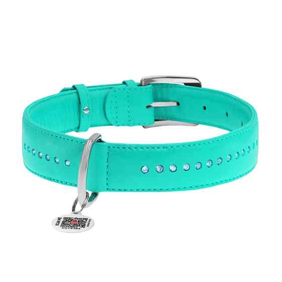 Нашийник для собак шкіряний WAUDOG Glamour з QR паспортом, подвійний зі стразами, M, Ш 20 мм, Д Коломия