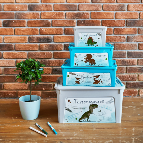 Контейнер 11,7л бірюзовий з малюнком Динозавр Smart Box Алеана Житомир - изображение 4