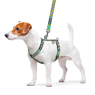 Шлей для собак WAUDOG Nylon анатомічна H-подібна з QR-паспортом "Смайли на блакитному" пластиковий фастекс, XL (346-0182) Винница - изображение 3