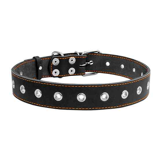 Нашийник "CoLLaR" безрозмірний (ширина 35мм, довжина 69см) чорний Коломия