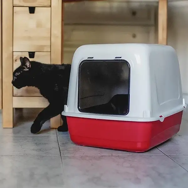 Закритий туалет - бокс для котів Ferplast Ariel 10 Home (Ферпласт Аріел 10 Гом) Бордовий Запоріжжя - фото 4