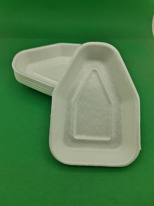 Супер Лоток під тушку курки ТR-119 (300 шт) Харків - фото 2