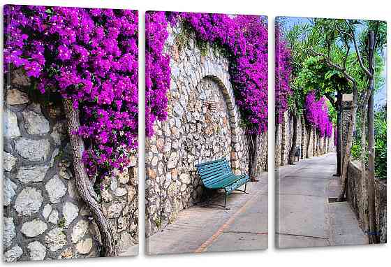 Модульная картина Цветы Дорога Аrt-164_3А 100x150 см Киев