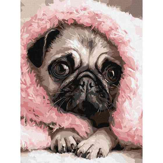 Картина за номерами "Закутаний мопс" ©art_selena_ua KHO6839, 30х40 см Вінниця