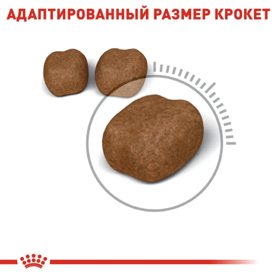 Royal Canin Oral Care (Роял Канін Орал Кер) сухий корм для котів від 12 місяців під час утворення зубних каменів Запоріжжя